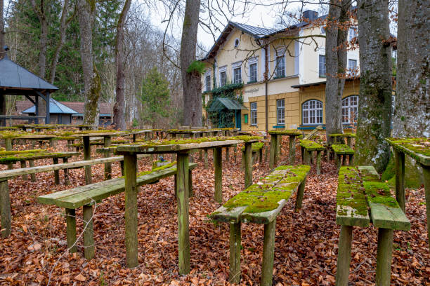 Lost Place, overgrown beer garden with mossy seating areas, Gasthof Obermuehltal, Bavaria, Germany, Europe