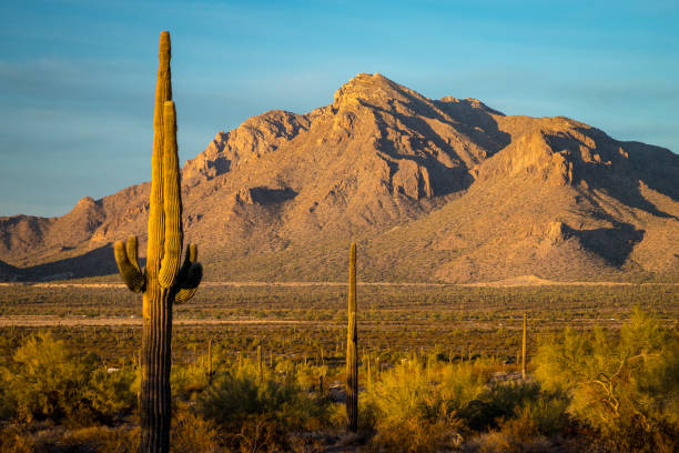istock Sunset over Newman Peak with Saguaro Cacti 2196801453
