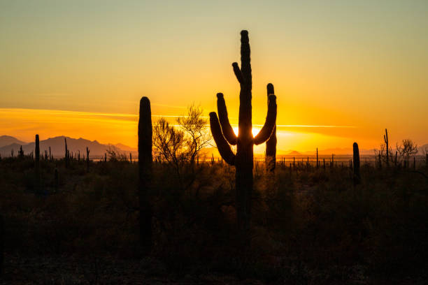 istock Sunset at Picacho Peak State Park, Arizona 2196801474