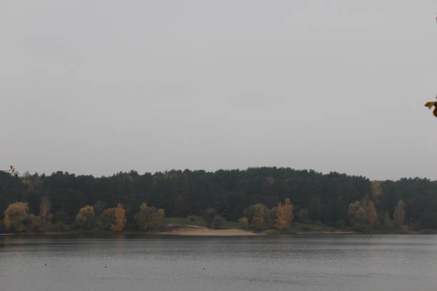 Autumn Serenity: A Lakeside Scene in Muted Hues￼
