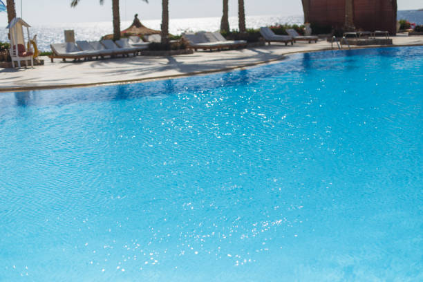 A captivating and tranquil pool scene that features shimmering blue water alongside palm trees by the ocean shores