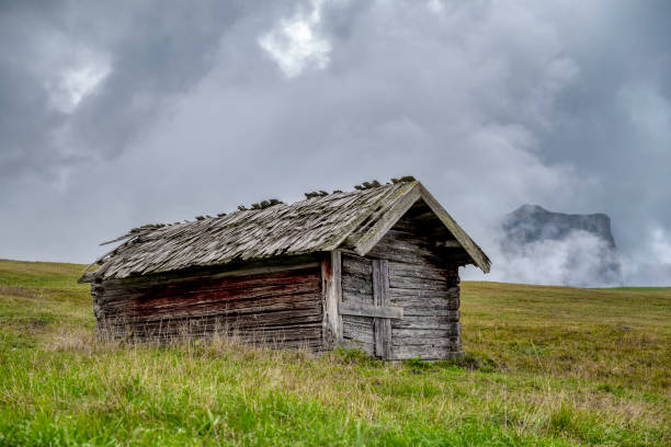 Weathered old wooden mountain hay hut on meadow in front of Schlern mountain massif, South Tyrol Dolomites, Italy. Overcast day.