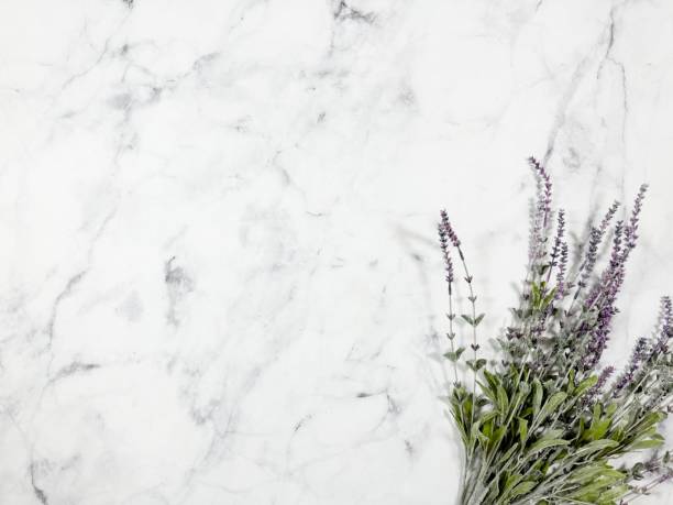 istock White Marbled Background With Purple Lavender Flowers 2196811463