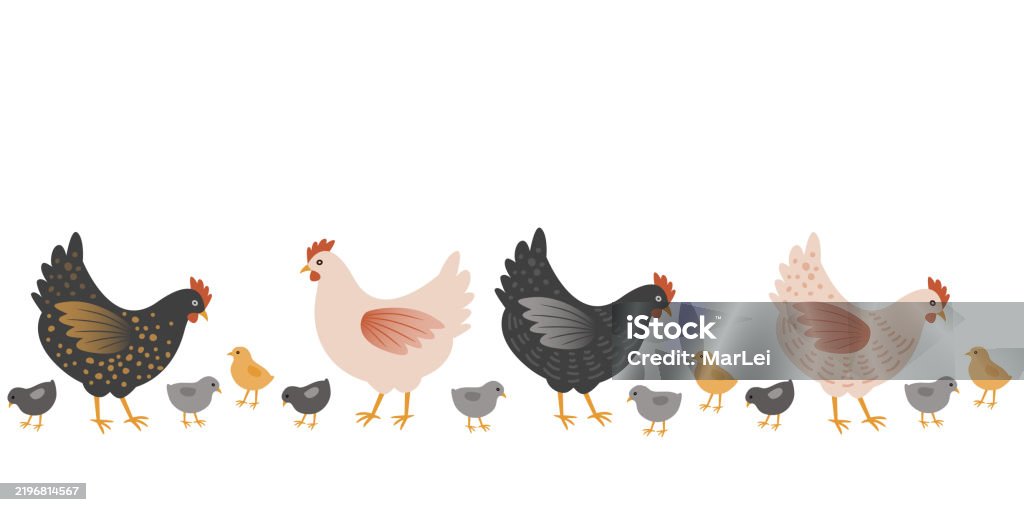 Chicken Borders Chicken In A Row Repeatable Border Design Element Stock Illustration ...