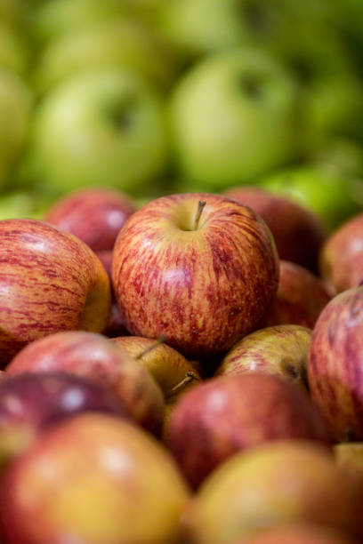 istock Apple in Pinheiros Market (Portuguese: Mercado Municipal de Pinheiros) 2196817280