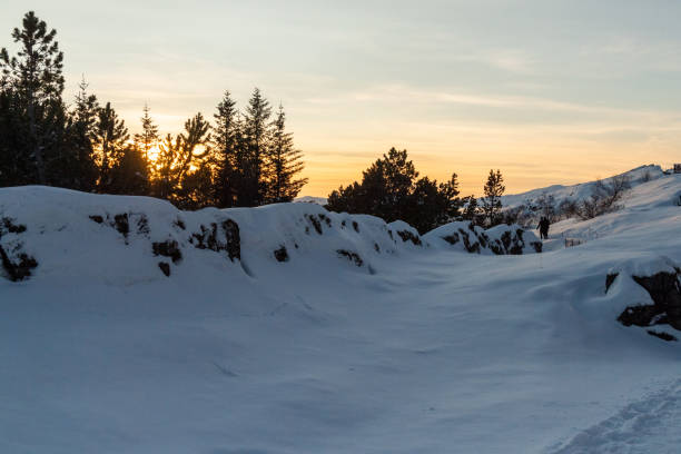 A scenic outdoor landscape shot from the Thingvellir National Park in Iceland on a beautiful sunny winter afternoon. This snowcovered landscape marks the continental divide between America and Europe.