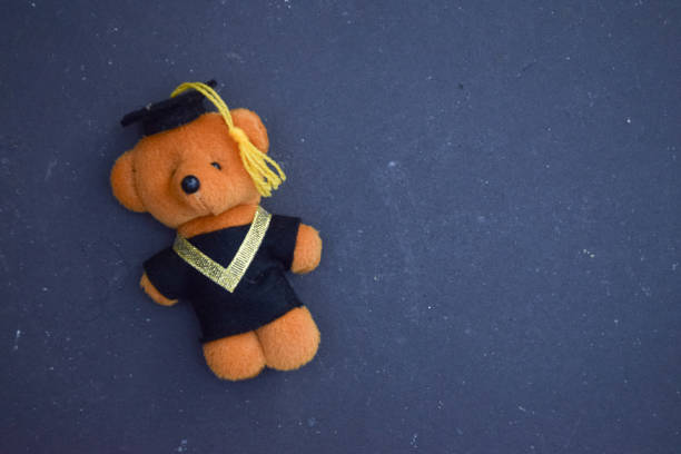 istock A brown teddy bear in a graduation gown with copy space for text 2196833500