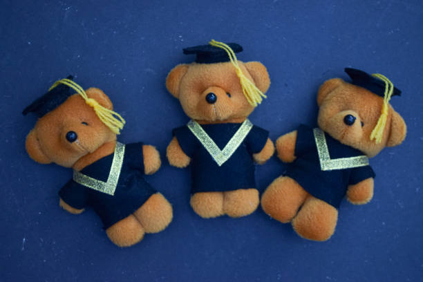 istock three brown teddy bears in a graduation gown 2196833523