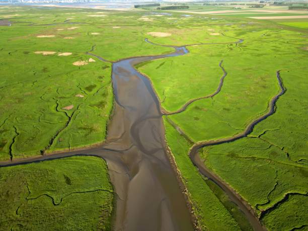 Free picture: river, riverbank, channels, water, landscape, reflection ...