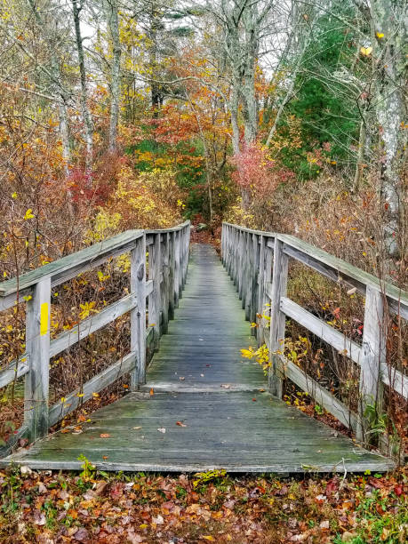 istock Old wooden footbridge in an autumn forest 2196834056