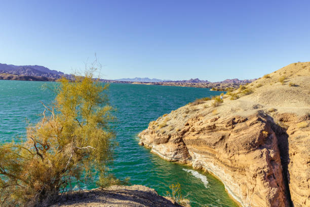 istock Shoreline of Lake Havasu 2196839319
