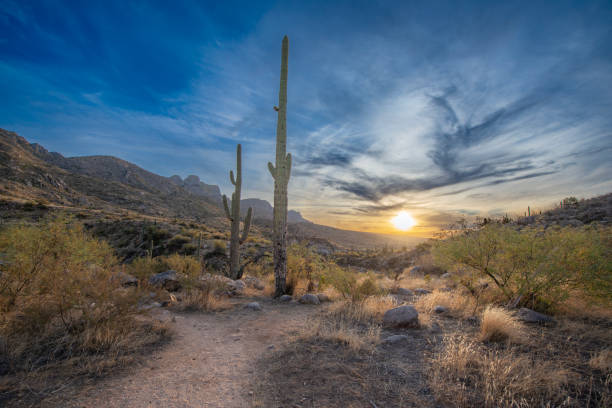istock Sun on Horizon in the Desert 2196839404
