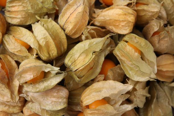 istock Ripe physalis fruits with calyxes as background, above view 2196839719