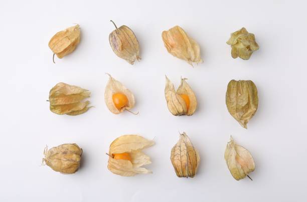istock Ripe physalis fruits with calyxes on white background, flat lay 2196839745