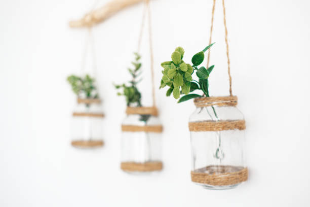 Three hanging glass jars filled with green plants create a minimalist wall display.