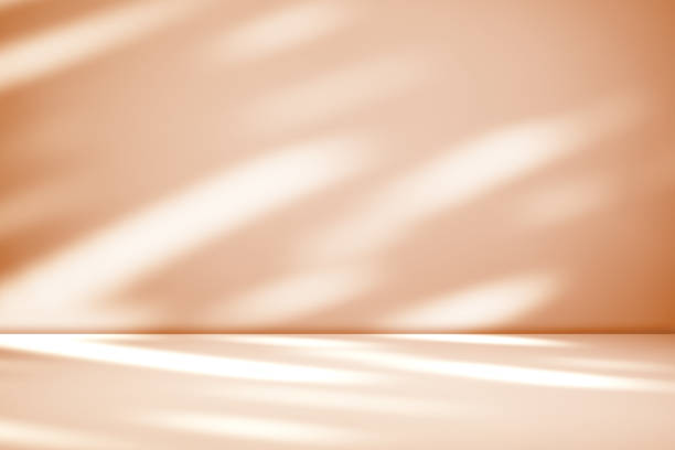 istock Empty shadow light overlay brown concrete wall room studio background and perspective floor well display products and text presentation on free space cement backdrop 2196841692