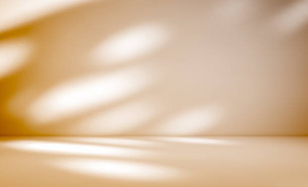 istock Empty shadow light overlay brown concrete wall room studio background and perspective floor well display products and text presentation on free space cement backdrop 2196841750