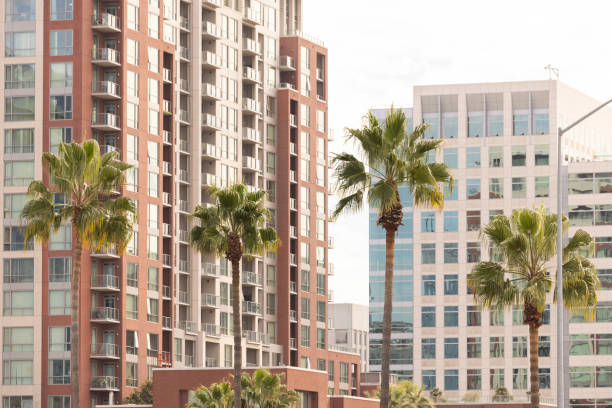Palm framed view of the downtown skyline buildings of San Jose, California, USA.