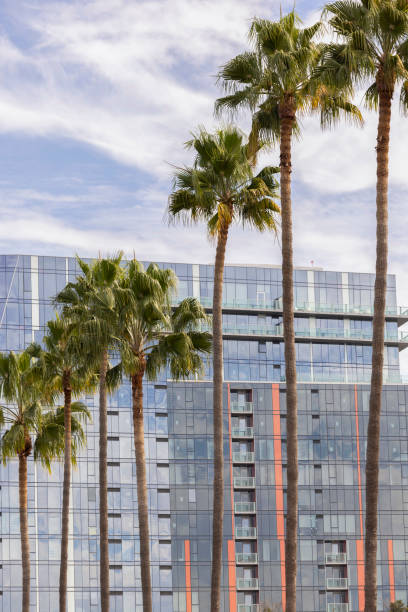 istock San Jose California Skyline 2196842871