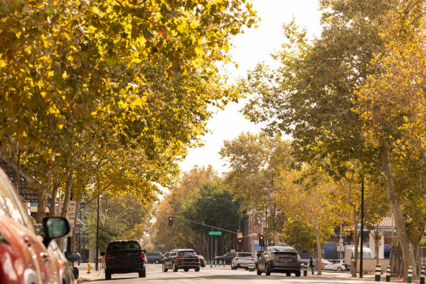 istock San Jose California Autumn Downtown 2196842874