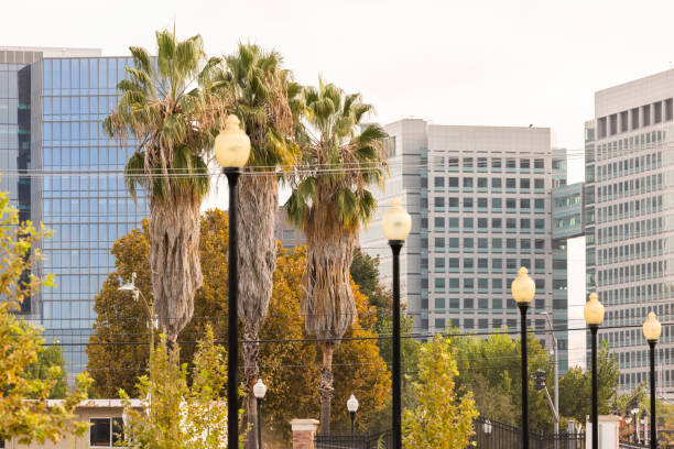 istock San Jose California Skyline 2196842925