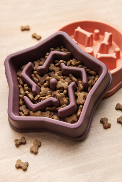 istock Star shaped slow feeder bowl with dog kibble 2196843395