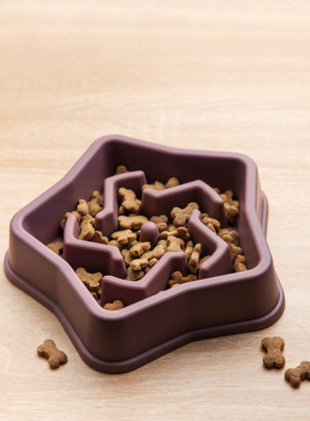 istock Slow feeder dog bowl preventing gulping and improving digestion 2196843403