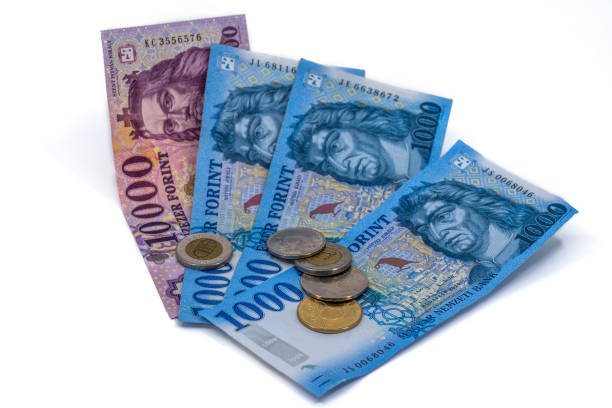 An arrangement of Hungarian forint banknotes and coins, featuring denominations of 10,000 and 1,000 forint notes. The vibrant designs and details on the currency highlight the cultural and financial aspects of Hungary.