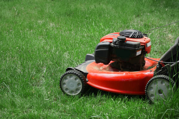 istock close up on lawn mower on green lawn 2196844554