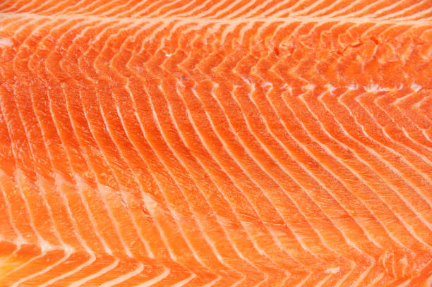 istock fresh salmon fillet background 2196844585
