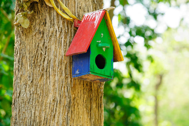 istock Colorful Wooden Birdhouse Hanging on Tree in Natural Setting 2196847983