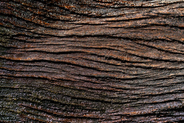 Textured Surface of Dark Brown Wood with Natural Patterns and Grain