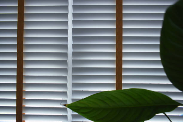 istock white window blinds and green leaf in home, object for decorate interior of house 2196855185