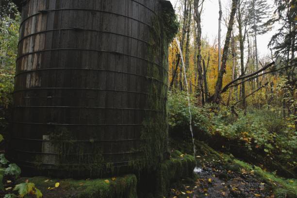 Close up of defunct water tower, covered in lush green moss and draining water in the rain. Taken while hiking to and around Elowah Falls, a massive waterfall along the McCord Creek that feeds into the Columbia River Gorge to the east of Portland, OR.