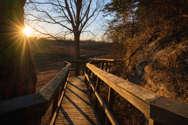 View of boardwalk over wetlands at sunset in late autumn with sun star