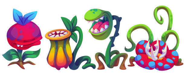 780+ Venus Flytrap Dionaea Muscipula Plant Stock Illustrations