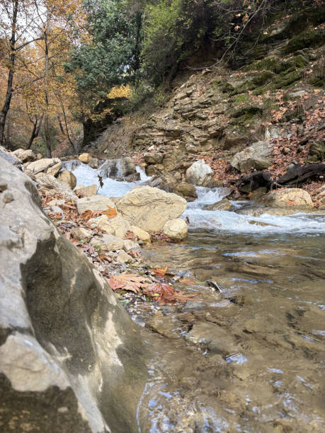 istock mountain river fast for waterfall rapids stream autumn 2196885775