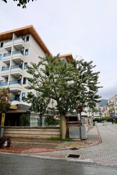 istock White residential buildings 2196886318