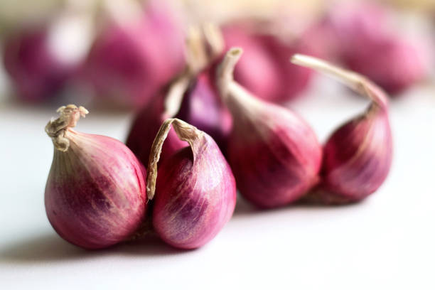 Shallots, dried onions on a wooden tray