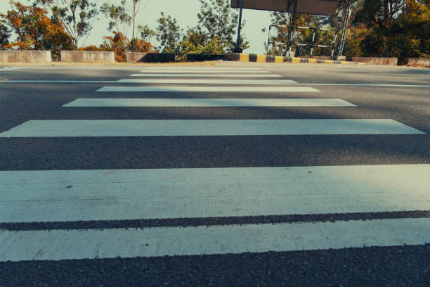 istock Pedestrian Crosswalk on a Quiet Road with Trees 2196890907