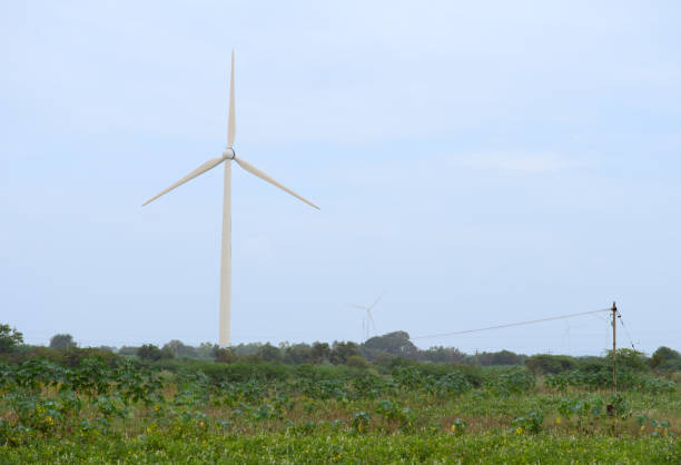 Wind turbines in a field on a sunny day