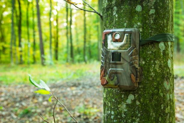 istock Close-up of a camera trap hanging on a tree trunk 2196893206