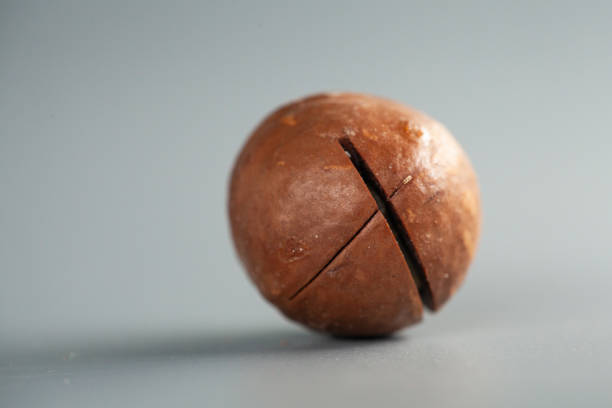 istock Close-up, studio-style photograph of a single macadamia nut. 2196893431