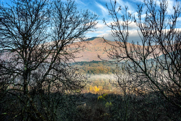 Pico Casillas tras los castaños en otoño. Sierra de Gredos. Ávila.