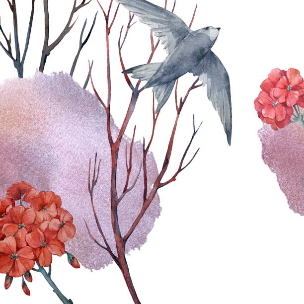 istock Watercolor composition with tree branches, geranium flowers and swift bird. The illustration is hand drawn and isolated on a white background. Template for cards and packaging design 2196898429
