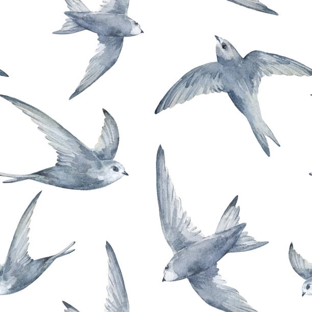 istock Swifts birds watercolor seamless pattern. Hand drawn. For the design of wrapping paper, fabrics, wallpaper. 2196898565