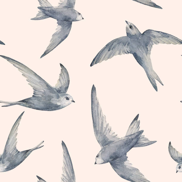 istock Swifts birds watercolor seamless pattern. Hand drawn. For the design of wrapping paper, fabrics, wallpaper. 2196898676