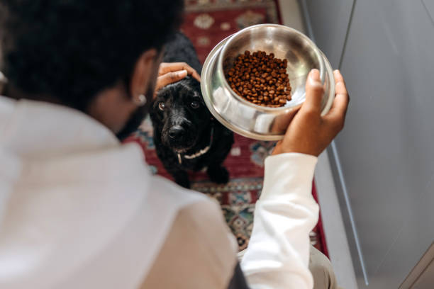 Unrecognisable young man feeding his dog at home