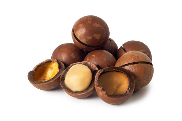 istock Macadamia nuts display showcasing their hard shells and creamy interior in a bright setting 2196899825
