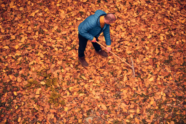 istock Man cleaning garden from fallen autumn leaves. 2196903057